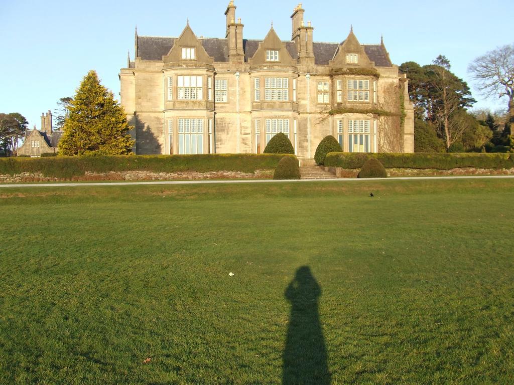 Rockfield House B&B คิลลาร์นีย์ ภายนอก รูปภาพ